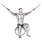 cable overhead curl on exercise ball animación