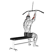 cable pulldown bicep curl animación