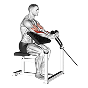 cable rope hammer preacher curl animación