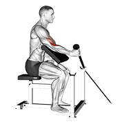 cable rope one arm hammer preacher curl animación