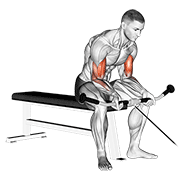 cable seated curl animación