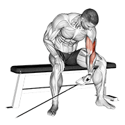 cable seated one arm concentration curl animación