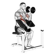dumbbell alternate hammer preacher curl animación