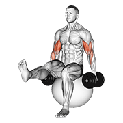 dumbbell bicep curl on exercise ball with leg raised animación