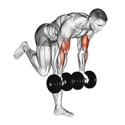 dumbbell bicep curl with stork stance animación