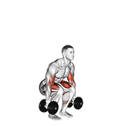 dumbbell biceps curl squat animación
