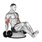 dumbbell biceps curl v sit on bosu ball animación