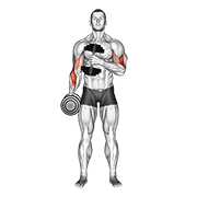 dumbbell cross body hammer curl v. 2 animación
