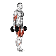 dumbbell lunge with bicep curl animación