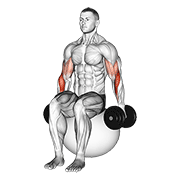 dumbbell hammer curl on exercise ball animación