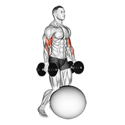 dumbbell kneeling bicep curl exercise ball animación