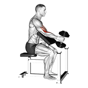 dumbbell one arm hammer preacher curl animación