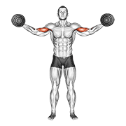 dumbbell high curl animación