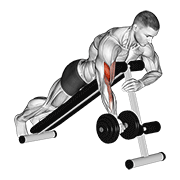 dumbbell one arm prone curl animación