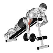 dumbbell one arm prone hammer curl animación
