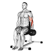 dumbbell one arm seated hammer curl animación