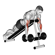 dumbbell prone incline hammer curl animación