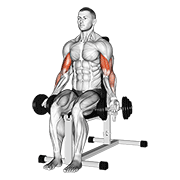 dumbbell seated bicep curl animación