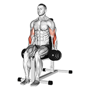 dumbbell seated hammer curl animación