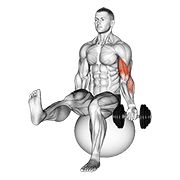 dumbbell seated one arm bicep curl on exercise ball with leg raised animación