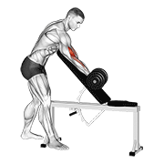 dumbbell standing one arm curl over incline bench animación