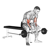 ez bar seated close grip concentration curl animación