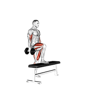 dumbbell step up single leg balance with bicep curl animación