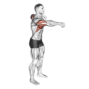 push and pull bodyweight animación