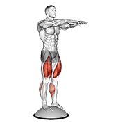 squat on bosu ball animación