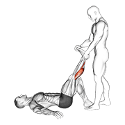 assisted lying calves stretch animación