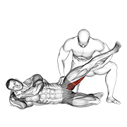 assisted side lying adductor stretch animación