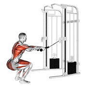 cable squat row (with rope attachment) animación