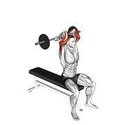 barbell seated close grip behind neck triceps extension animación