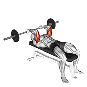 barbell reverse grip skullcrusher animación