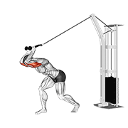cable high pulley overhead tricep extension animación