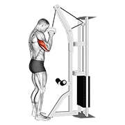 cable one arm tricep pushdown animación