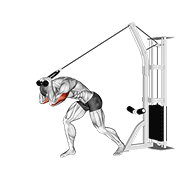 cable rope high pulley overhead tricep extension animación