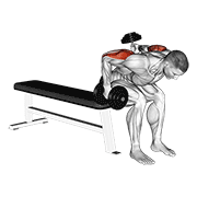 dumbbell seated bent over alternate kickback animación
