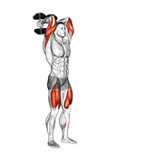 dumbbell forward lunge triceps extension animación
