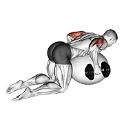 dumbbell kickbacks on exercise ball animación