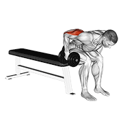 dumbbell seated bent over triceps extension animación