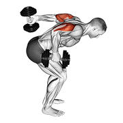 dumbbell standing alternating tricep kickback animación