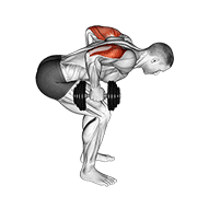 dumbbell standing bent over two arm triceps extension animación
