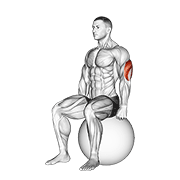 exercise ball seated triceps stretch animación