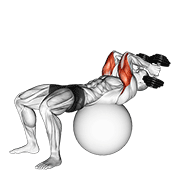 exercise ball supine triceps extension animación