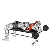 ez bar lying close grip triceps extension behind head animación