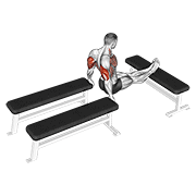 three bench dip animación