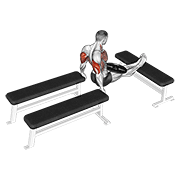 weighted three bench dips animación