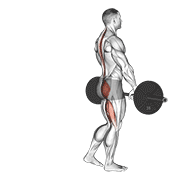barbell single leg deadlift animación