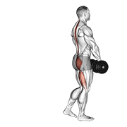 dumbbell single leg deadlift animación